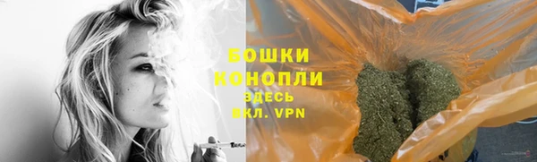 ПСИЛОЦИБИНОВЫЕ ГРИБЫ Алзамай