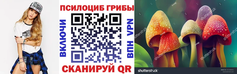 Галлюциногенные грибы мицелий купить Пикалёво